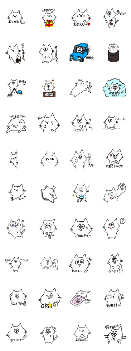 Pochi of an expressive cat