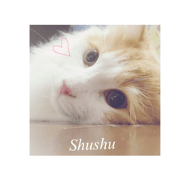Everyday SHUSHU