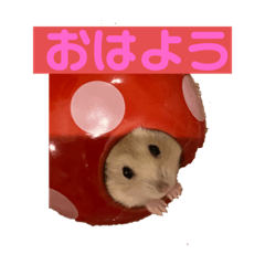 Yuka_20210524131257