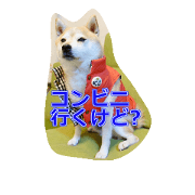 mame-shiba-bean's family