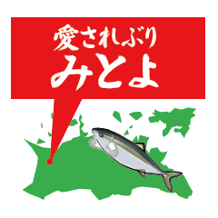 The yellowtail is in Mitoyo