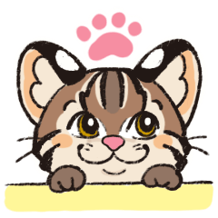 Tsushima Leopard Cats