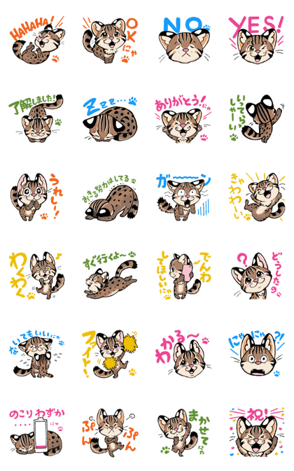 Tsushima Leopard Cats