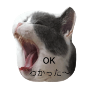 maharo app busakawa stamp