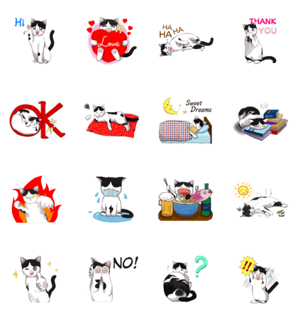 Tuxedo cat v.1