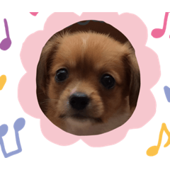 junko_20210523213925