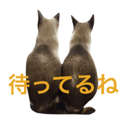 TWINS and FRIEND