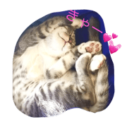 miuneko