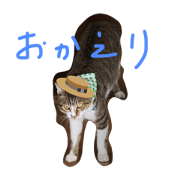 kinacotouzra 2
