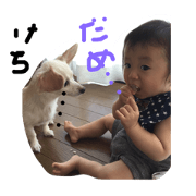 grandson and pet