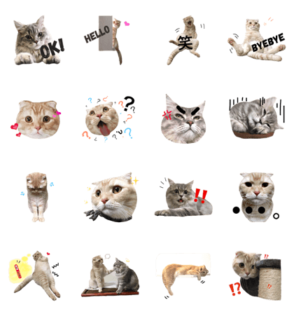 kinta & souta