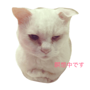 fuku1