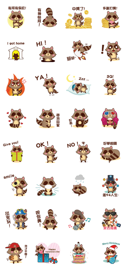 Raccoon life little diary