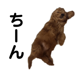 Ayumi_20210524052942