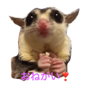fukumomo-gennosuke