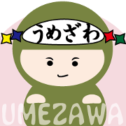 NAME NINJA "UMEZAWA"