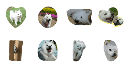 happy arare