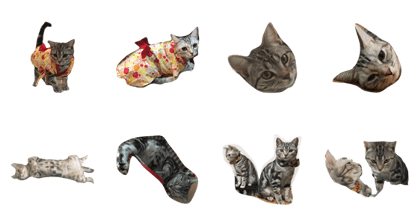 cat ame ma mi