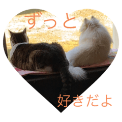 yuka_20210524000533
