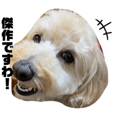 Ayumi_20210524003047