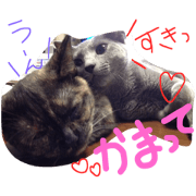 HAMAAOstamp 2
