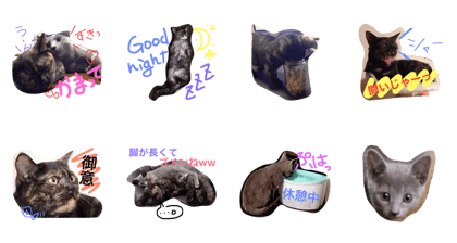 HAMAAOstamp 2