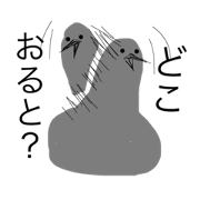nazo-hato in KUMAMOTO
