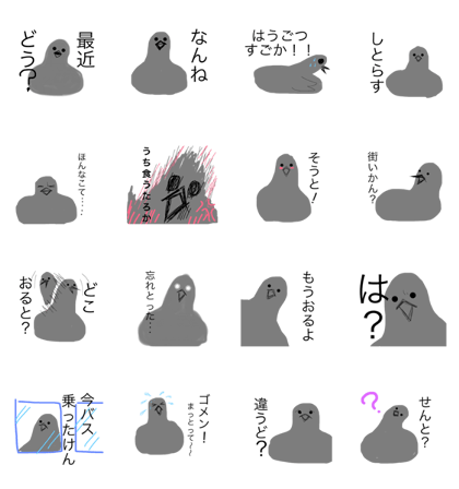 nazo-hato in KUMAMOTO