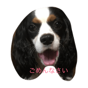 wonderfuluke