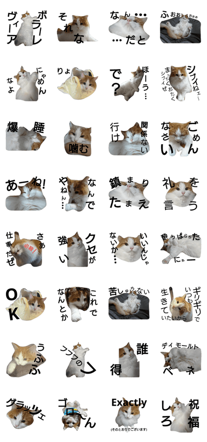 Norwegianforestcat