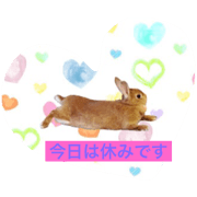 Mimi rabbit sticker