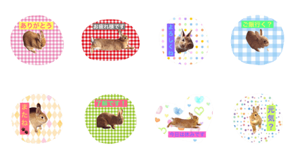 Mimi rabbit sticker