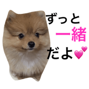 Chibi Lulu