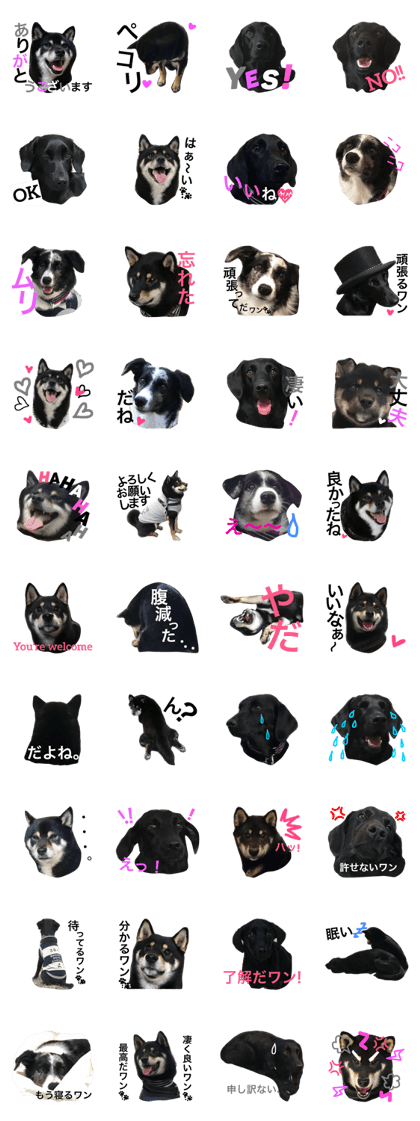 Puppies Part.1