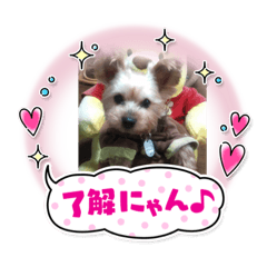 yukari_20210524113757