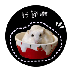 三隻鼠與一隻貓