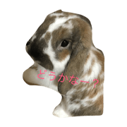 UNAGISTAMP