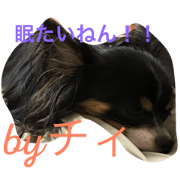 dtpatagdnpanagmgjg