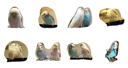 rara and tukumaru