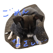 Lily's pic