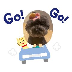 汪汪之家