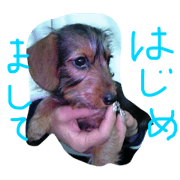 ICHIKOUTA
