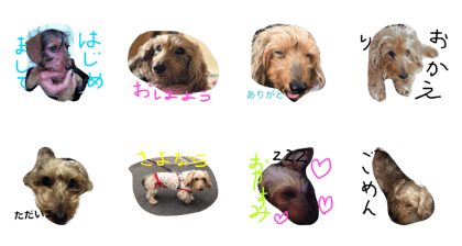 ICHIKOUTA