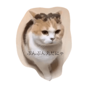 merupino