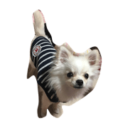 cocoakun