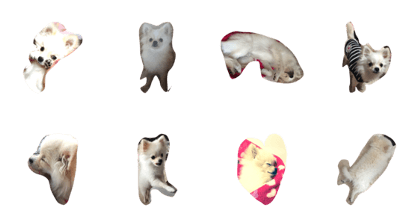 cocoakun