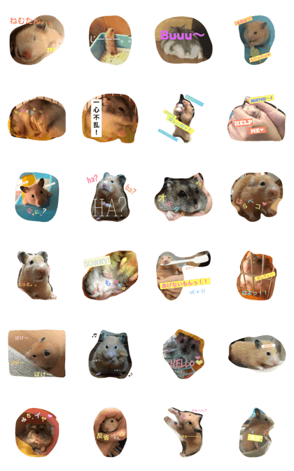 free-spirited hamsters