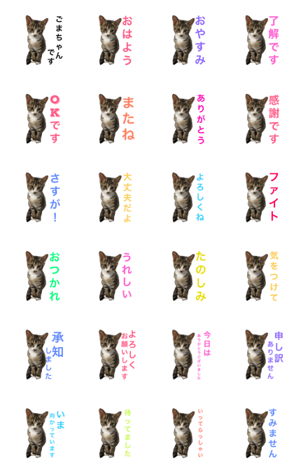gomachan no.2