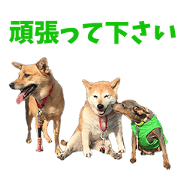 DECOBOCO3sisters's Sticker
