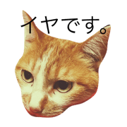 nya Sticker